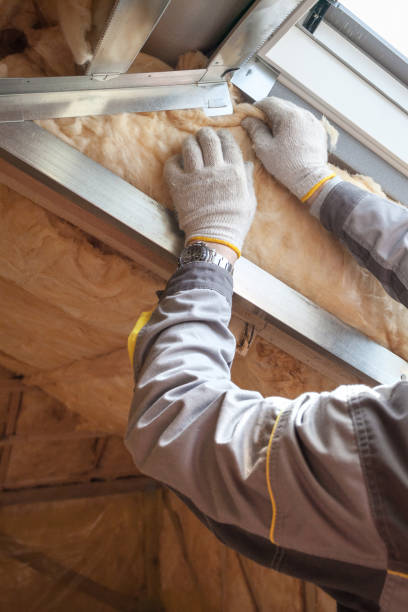 Best Cellulose Insulation  in Ozk, AR