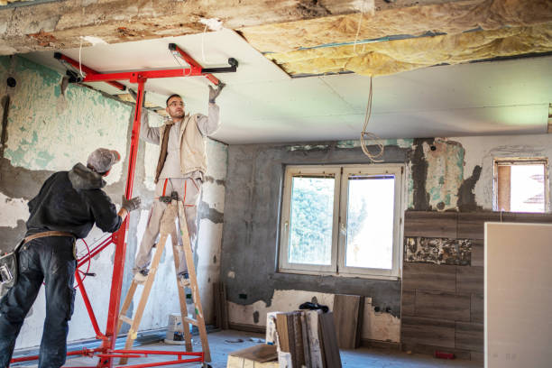 Insulation Replacement Services in Ozark, AR
