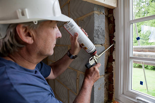 Best Home Insulation Services  in Ozk, AR