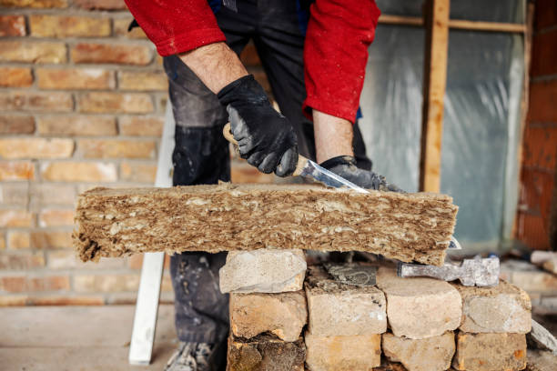 Best Insulation Contractors for Homes  in Ozk, AR