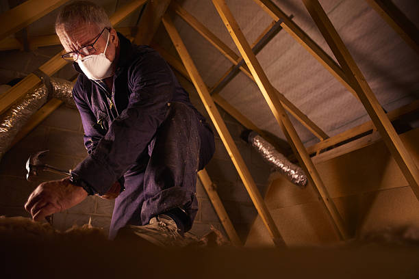 Best Professional Insulation Contractor  in Ozk, AR